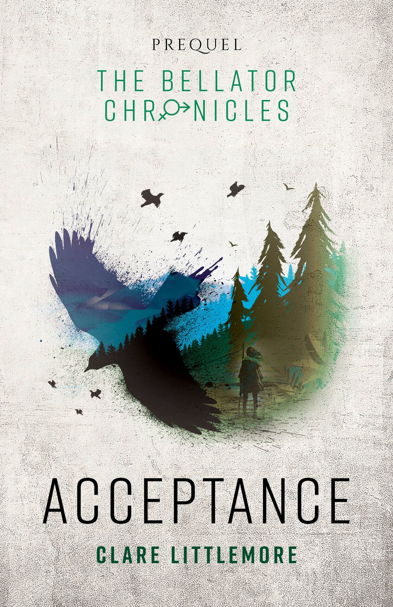 Front cover of Acceptance