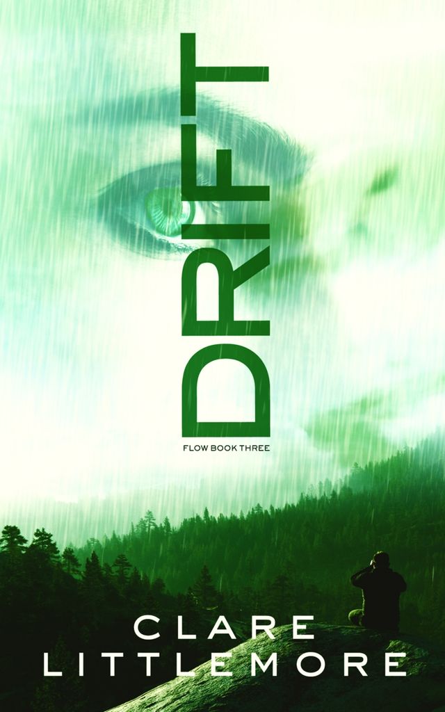 Front cover of Drift